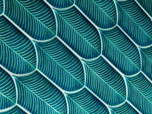 AcquarioDue Ceramiche calathea