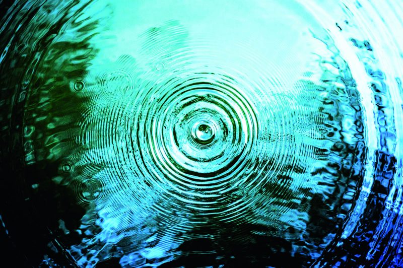 COP26 | I risultati dell’indagine di YouGov commissionata da GROHE