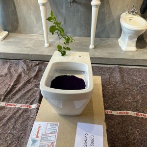 “La Rigenerazione” di Stefano Soddu