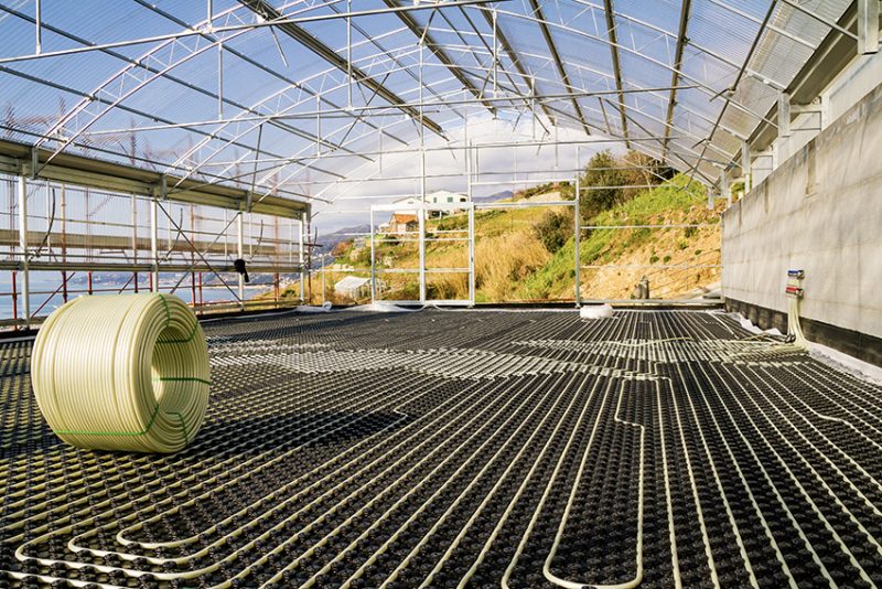 TECEfloor, la soluzione ideale per climatizzare le serre del basilico di Pra’