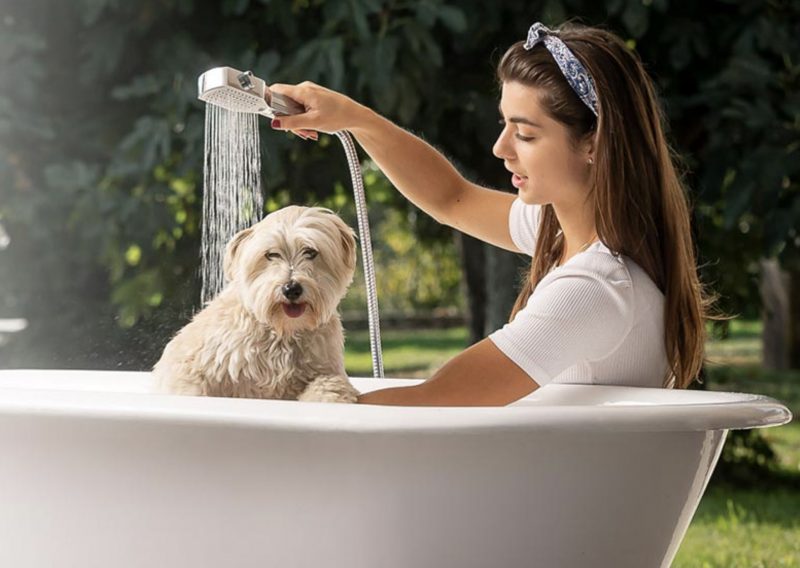Mafalda by Damast: la #docciaspazzola ideale per cani e gatti