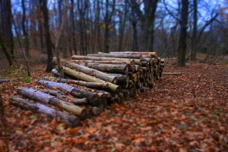 Legno e caro materie prime: l’intervento di Claudio Feltrin