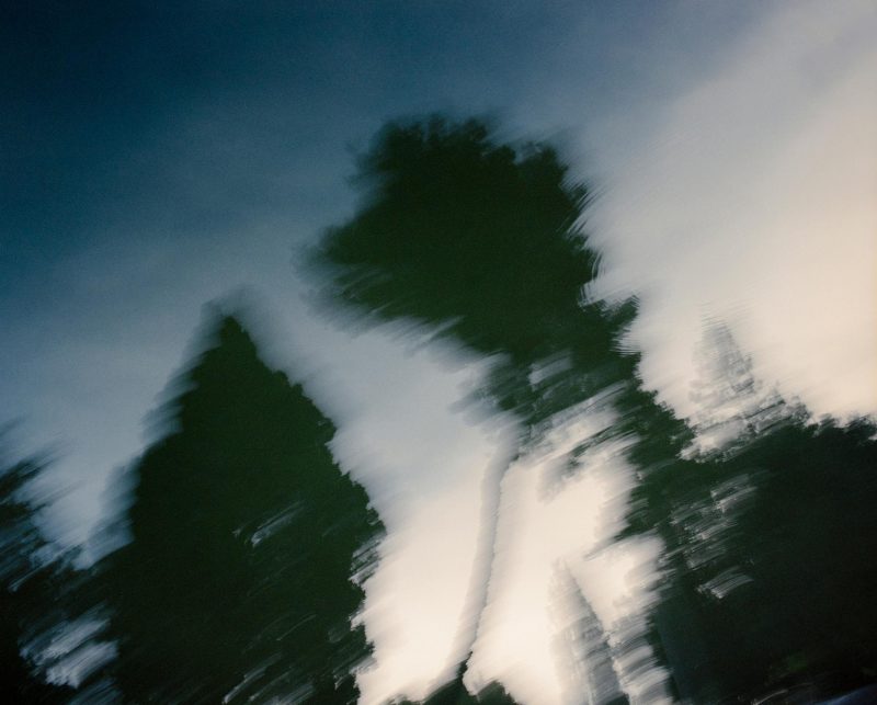 Quadrodesign e il progetto Treedom: nasce la Quadro Forest